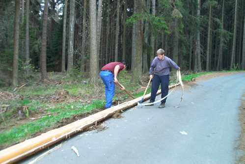 Maibaum 04 Bild 01.jpg