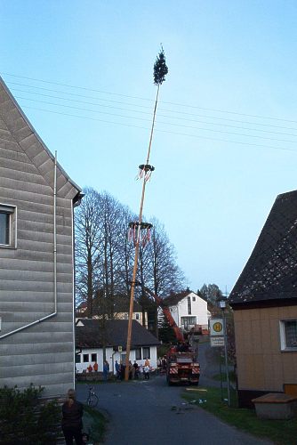 Maibaum 2002 - 1